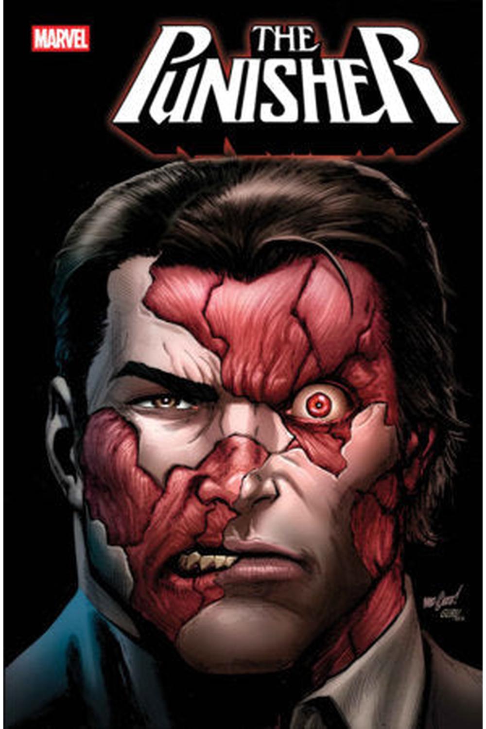 PUNISHER #2 comic cover