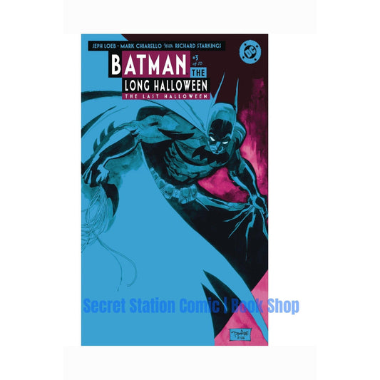 BATMAN THE LONG HALLOWEEN THE LAST HALLOWEEN #3 (OF 10) CVR A TIM SALE